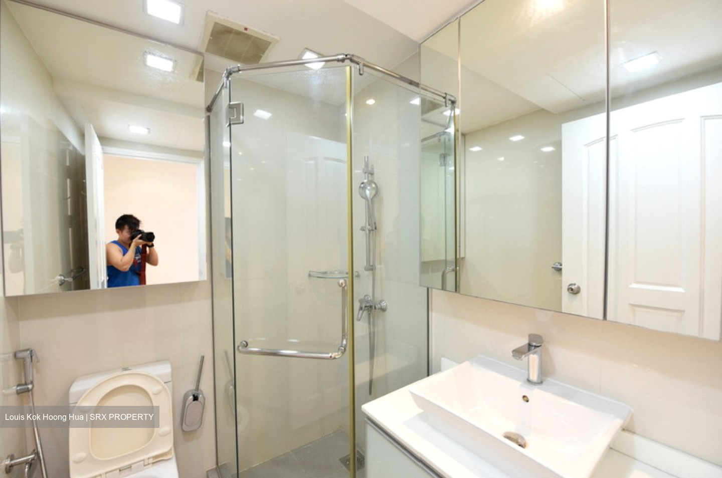 Spring Grove (D10), Condominium #492330961